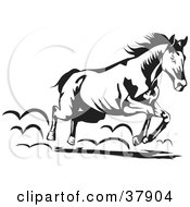 Poster, Art Print Of Black And White Running Horse