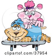 Poster, Art Print Of Pink Poodle Masseuse Massaging A Relaxed Dogs Back