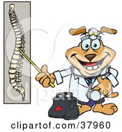 Chiropractor Dog With A Head Lamp And Medical Bag Pointing To A Diaphram Of A Spine