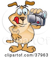 Poster, Art Print Of Brown Dog Filming A Home Video With A Cam Corder