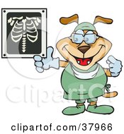 Clipart Illustration Of A Dog Radiologist In Scrubs Holding Up An Xray Of Ribs by Dennis Holmes Designs