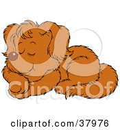 Clipart Illustration Of A Peaceful Sleeping Puppy