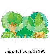 Poster, Art Print Of Chopped Down Tree Stump At The Edge Of A Healthy Forest