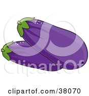 Clipart Illustration Of Two Fresh And Organic Purple Eggplants