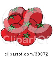 Plump Red And Organic Tomatoes