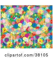 Poster, Art Print Of Background Of Colorful And Crowded Spring Flowers In A Garden