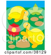 Poster, Art Print Of Two Turtles Playing By A Red Flower