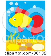 Clipart Illustration Of A Yellow And Red Fish Swimming With Bubbles Underwater