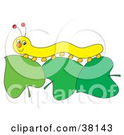 Clipart Illustration Of A Yellow Caterpillar On Leaves by Alex Bannykh