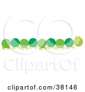 Poster, Art Print Of Long Green Caterpillar