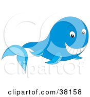 Poster, Art Print Of Friendly Whale Smiling
