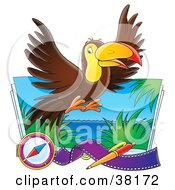 Clipart Illustration Of A Brown Toucan Flying Over A Photograph With A Compass Pen And Film by Alex Bannykh