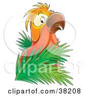 Poster, Art Print Of Red And Orange Parrot Perched In Palms