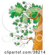 Poster, Art Print Of Branches With Green Foliage On The Side Of A Tree