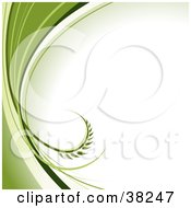 Poster, Art Print Of White Background With A Curling Leaf Emerging From Waves Of Green Along The Left Edge