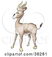 Poster, Art Print Of Goofy Beige Antelope With Thick Antlers