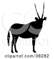 Poster, Art Print Of Black Silhouette Of A Relaxed Antelope With Straight Antlers