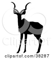 Poster, Art Print Of Black Silhouetted Antelope