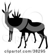 Black Silhouette Of Two Alert Antelopes