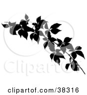 Clipart Illustration Of A Silhouetted Leafy Branch