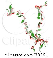 Clipart Illustration Of A Creeper Plant With Red Flowers