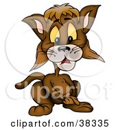 Poster, Art Print Of Brown Cat Clasping His Hands