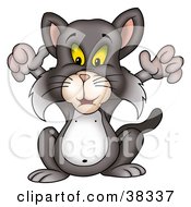 Poster, Art Print Of Gray Cat Holding His Front Arms Up