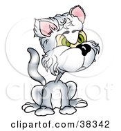 Clipart Illustration Of A Hairy White Cat With Green Eyes Looking Right by dero