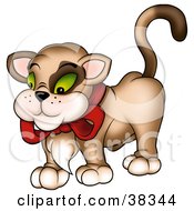 Poster, Art Print Of Brown Cat With A Hairy Chest Wearing A Red Bow