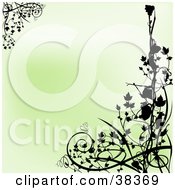 Clipart Illustration Of A Gradient Green Background With Corners Of Black Silhouetted Vines