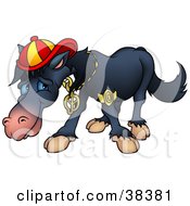 Cool Black Horse Wearing Bling And A Hat