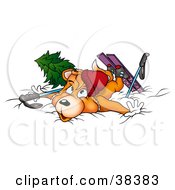 Poster, Art Print Of Clumsy Skiing Fox Collapsed In Snow