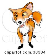 Poster, Art Print Of Friendly Male Fox With Yellow Eyes