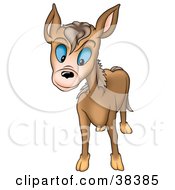 Poster, Art Print Of Curious Brown Burro With Blue Eyes