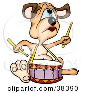 Drummer Dog Playing A Drum