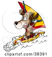 Sporty Dog Windsurfing On Waves