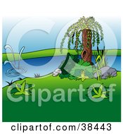 Poster, Art Print Of Nature Background Of A Willow Tree And Green Lawn By A Pond