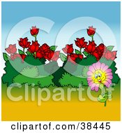 Nature Background Of A Happy Pink Flower By Bushes And Red Roses