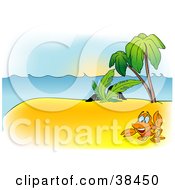 Poster, Art Print Of Nature Background Of A Crab Near Palm Trees On An Island