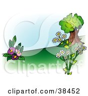 Poster, Art Print Of Nature Background Of Pink And White Flowers Near A Tree On A Hillside