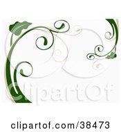 Poster, Art Print Of White Background With Beige And Green Plant Stalks And Curly Leaves