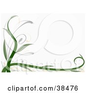 Poster, Art Print Of Thick Green Vine Growing Along The Left And Bottom Edges Of A White Background
