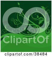 Clipart Illustration Of A Dark And Light Green Background With Curly Vines And Waves