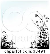 Poster, Art Print Of Faint Blue And White Background Bordered By Black Silhouetted Plants In The Lower Corners