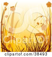 Clipart Illustration Of An Orange Background Of Silhouetted Grasses And Flowers by dero