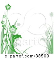 Clipart Illustration Of A White Background Bordered In Green And Gray Flowers On Tall Stalks by dero