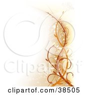 Poster, Art Print Of Faint Orange And White Background With Vines And Grunge