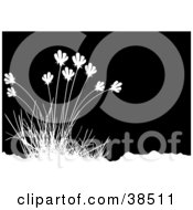 Clipart Illustration Of A Tuft Of Grasses