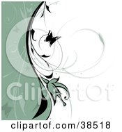 Clipart Illustration Of A Black Butterfly And Vine Dividing A Wave Of Sage Green And White Background by dero