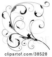 Clipart Illustration Of A Delicate Black Floral Scroll Branch With Tendrils And Curly Leaves